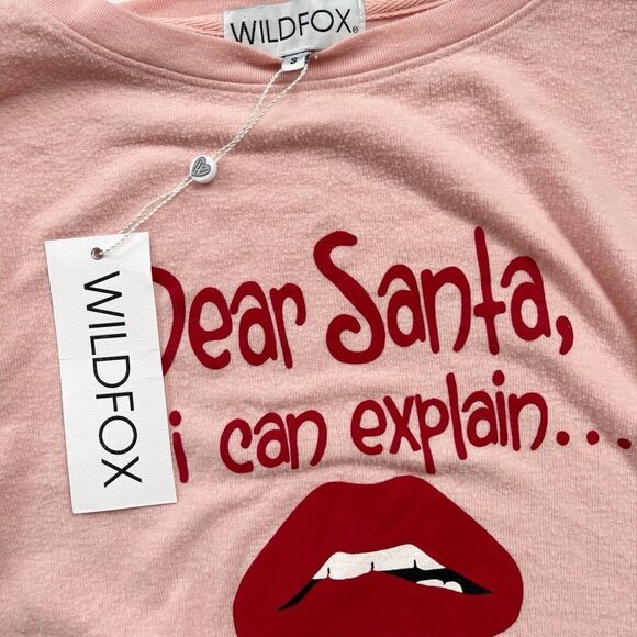NWT Wildfox Christmas Dear Santa I Can Explain Baggy Beach Jumper Small Graphic - Picture 4 of 5